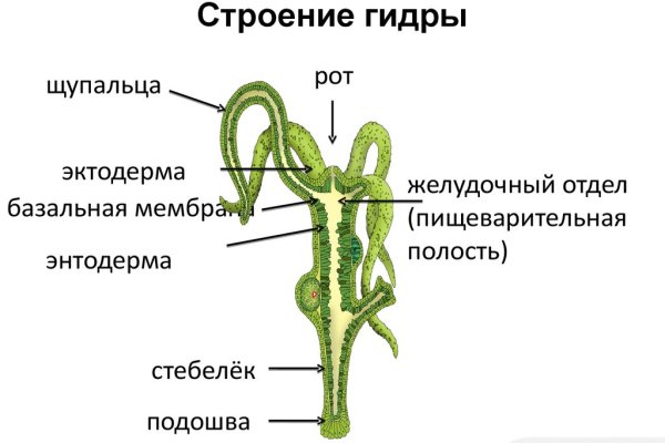 Ссылка на мегу через тор онион