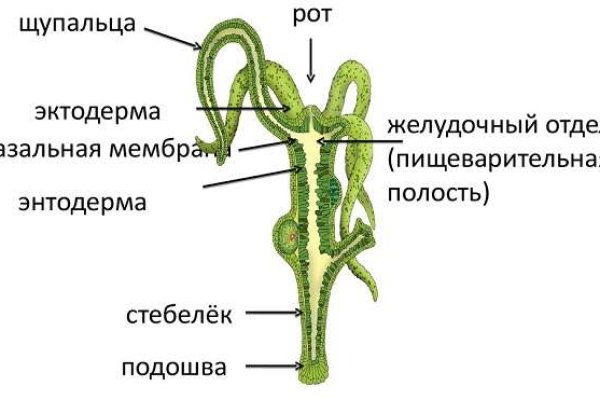 Оригинальный сайт kraken