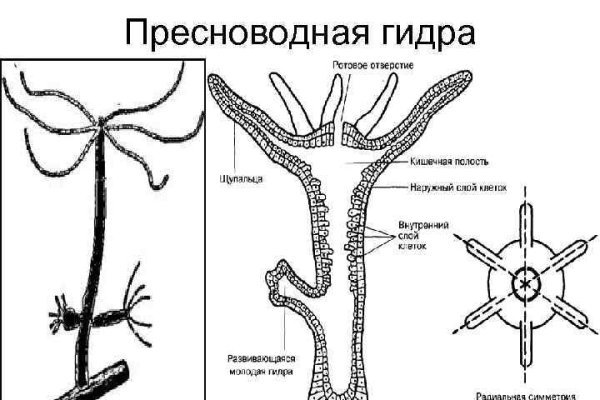 Omg официальный сайт ссылка